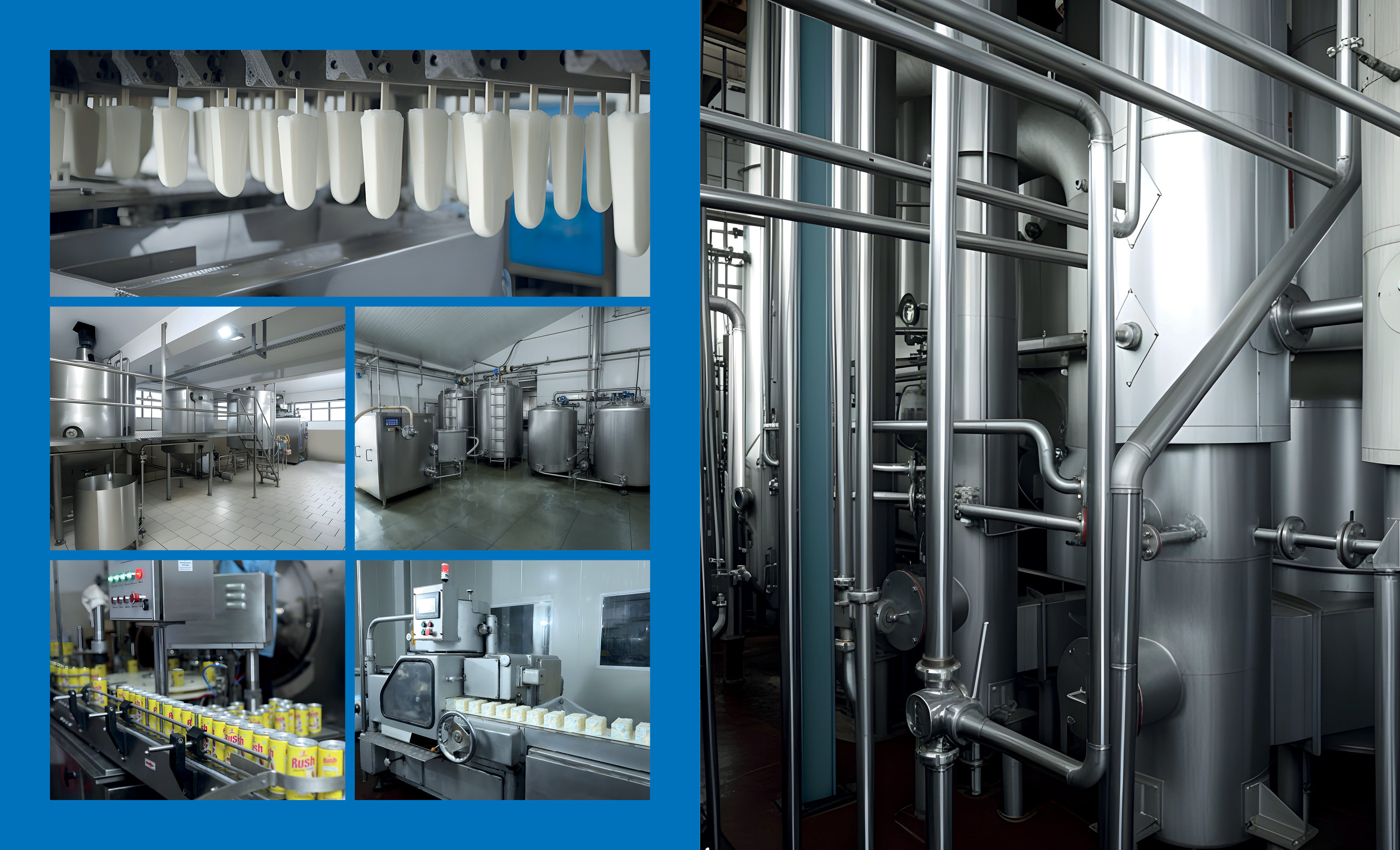 Sujal Dairy processing facility